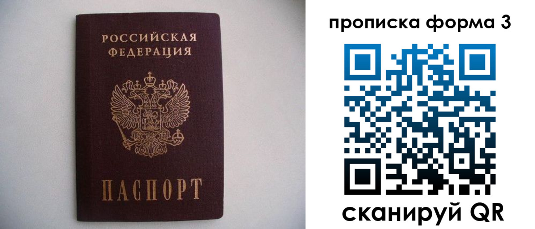 прописка в Стародубе